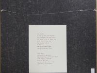 Montyn - www.scheen.co
